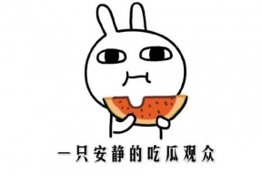 网上流行吃瓜是什么意思