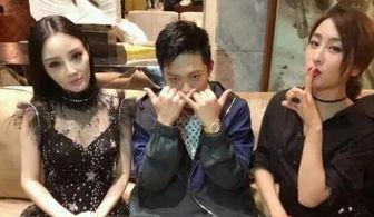 娱乐圈吃瓜封面小说,瓜田里的秘密风云